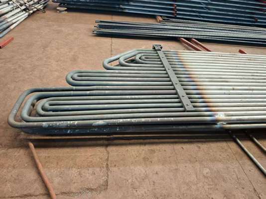 高圧CFBボイラー操作のためのカスタマイズされた設計