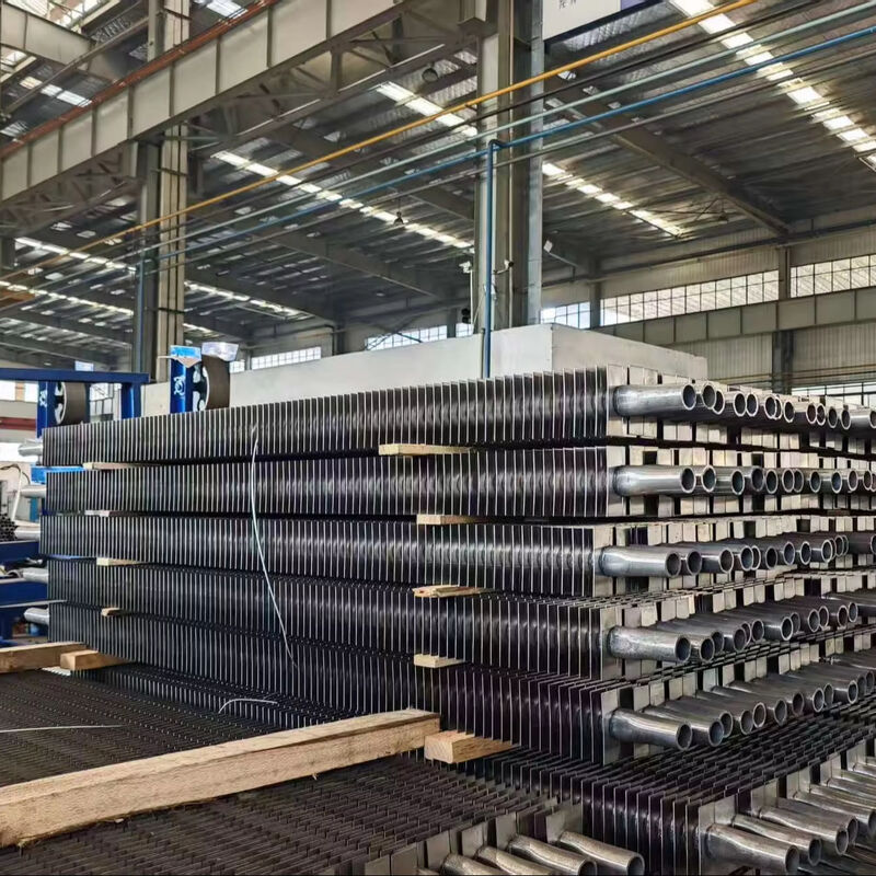 高安全性省エネ用途向けカスタムステンレス鋼ダブルHフィンボイラーフィンチューブ